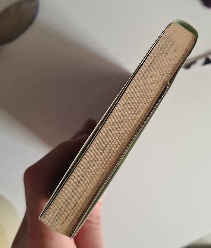 One piece - photo numéro 5