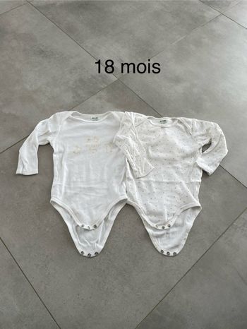 Lot de 2 bodies manches longues lapins