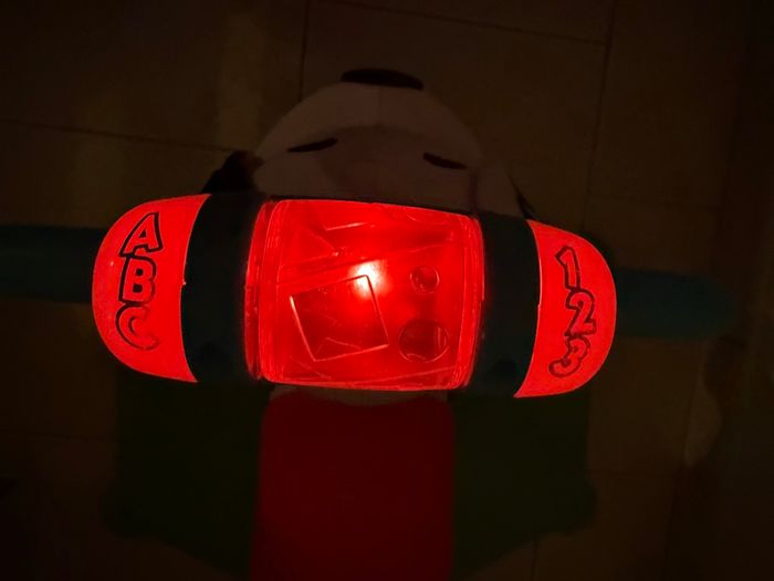 Chien tourni rebond - photo numéro 7