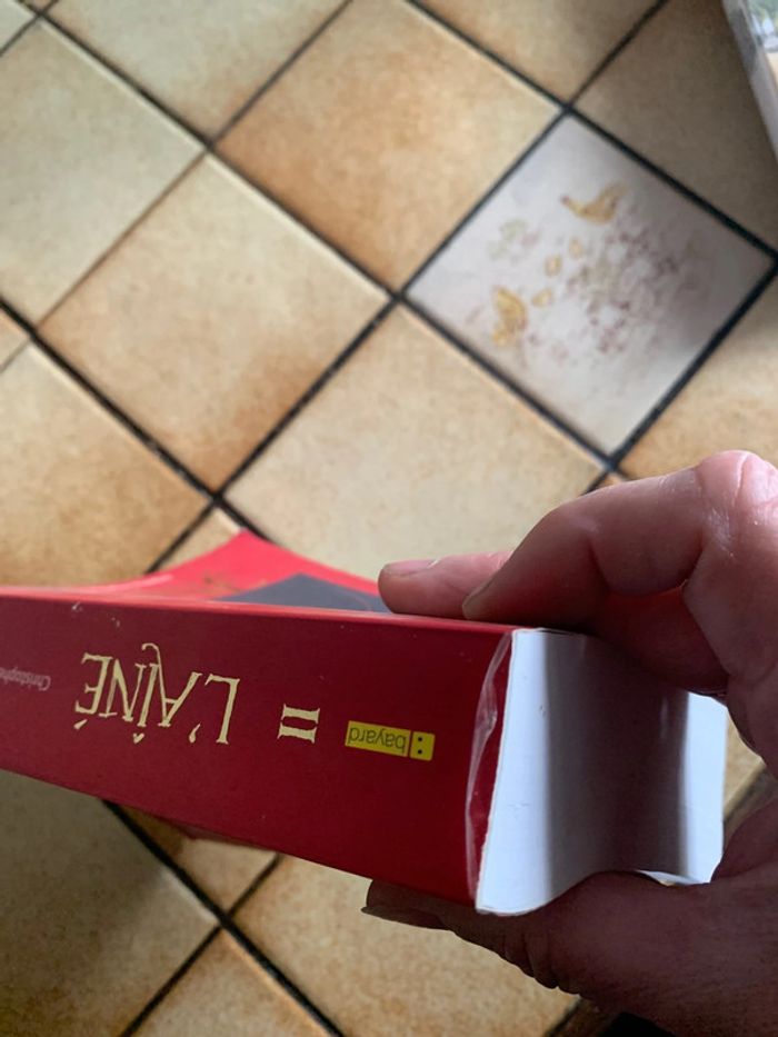 L aîné - photo numéro 9