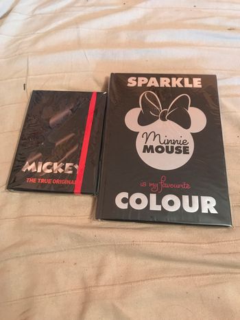 Carnet Mickey et journal intime minnie