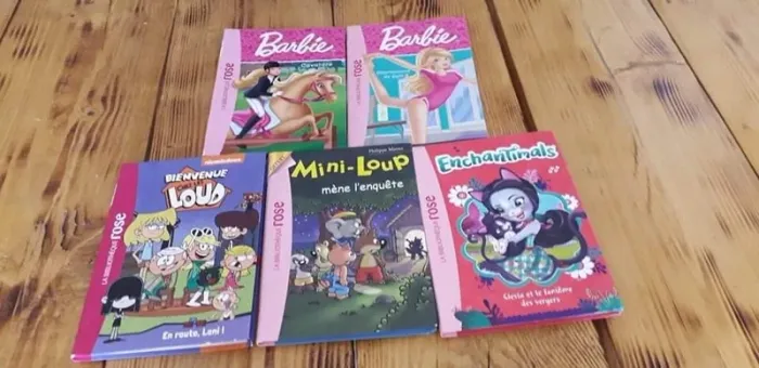 Vends livre bibliothèque rose