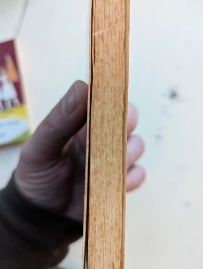 Lot de deux livres de poche : Quatre de trop et Jessie la Parfaite - photo numéro 5