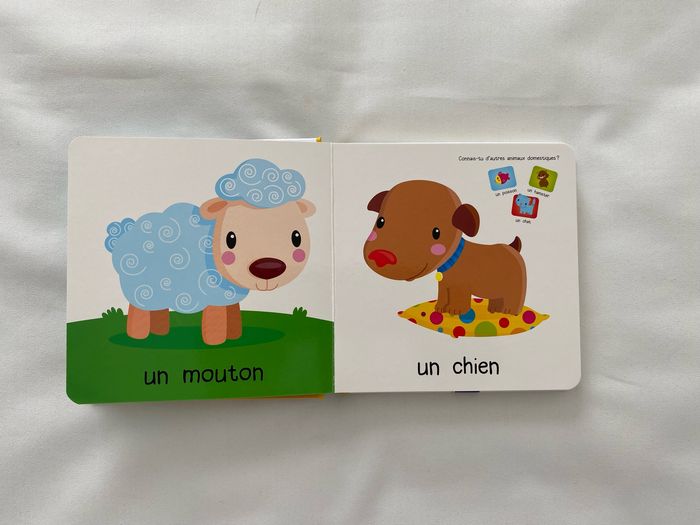 Les animaux Yoyo Éditions - photo numéro 2