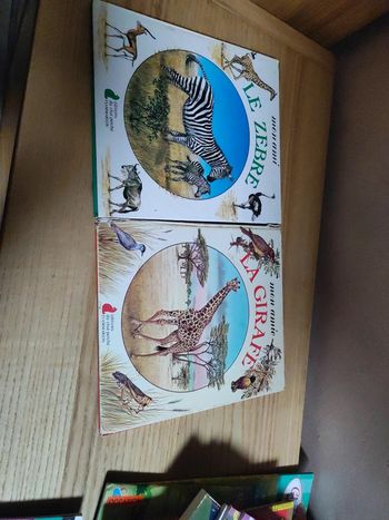 Lot de 2 livres mon amie