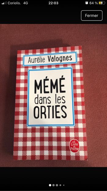 Meme dans les orties - aurelie valognes