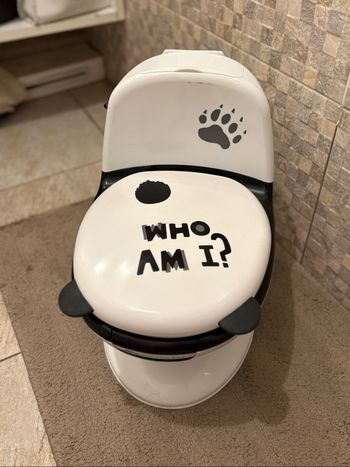 Pot toilettes bébé Bébé confort