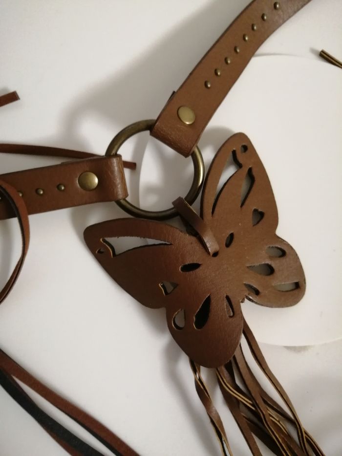 Papillon marron - photo numéro 2