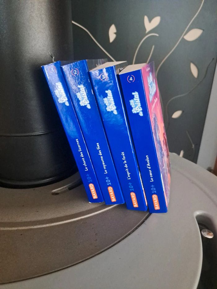 Le 4 livres la cité de cristal - photo numéro 2