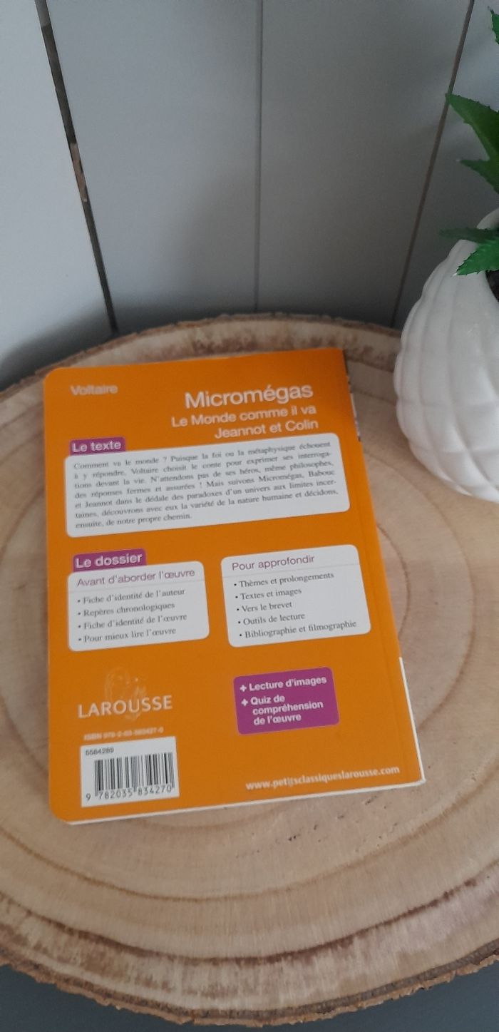 Micromégas de Voltaire - photo numéro 2