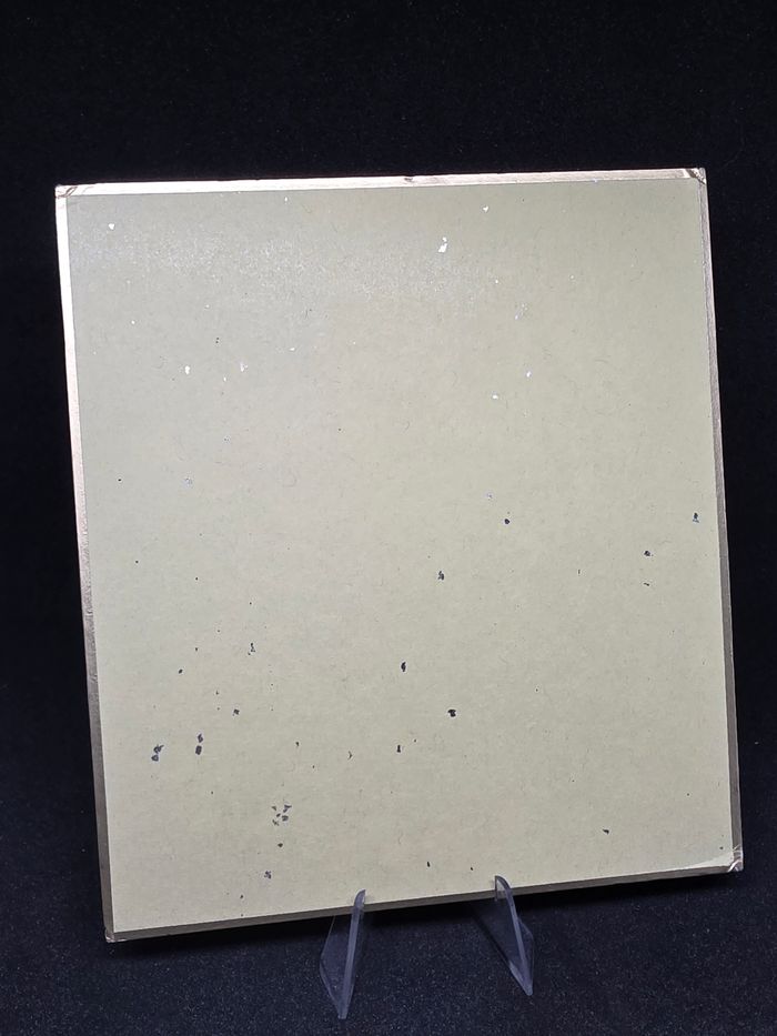 Shikishi art Pokemon Zarbi/Unknown - photo numéro 2