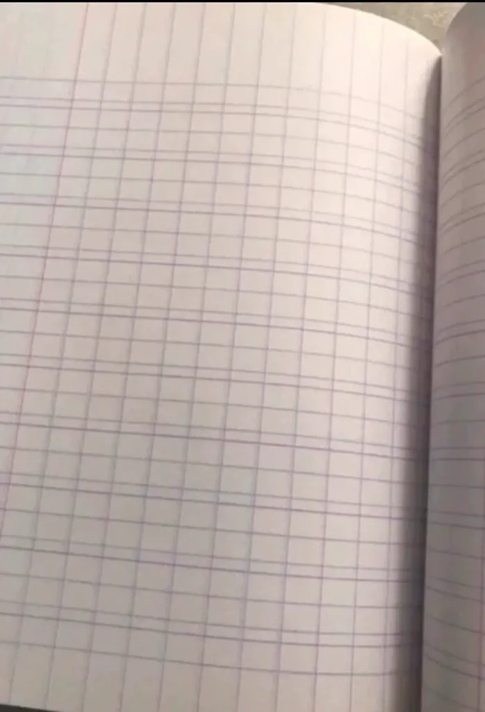 cahier couverture monsieur lent double ligne 32 pages format 17x22 cm - photo numéro 4