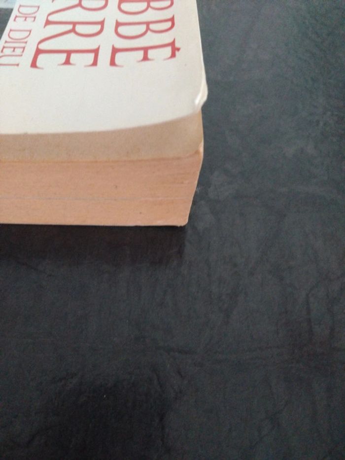 L'abbé Pierre l'insurgé de Dieu - photo numéro 5