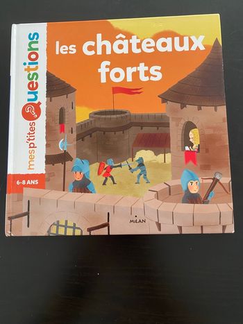 Les châteaux forts 