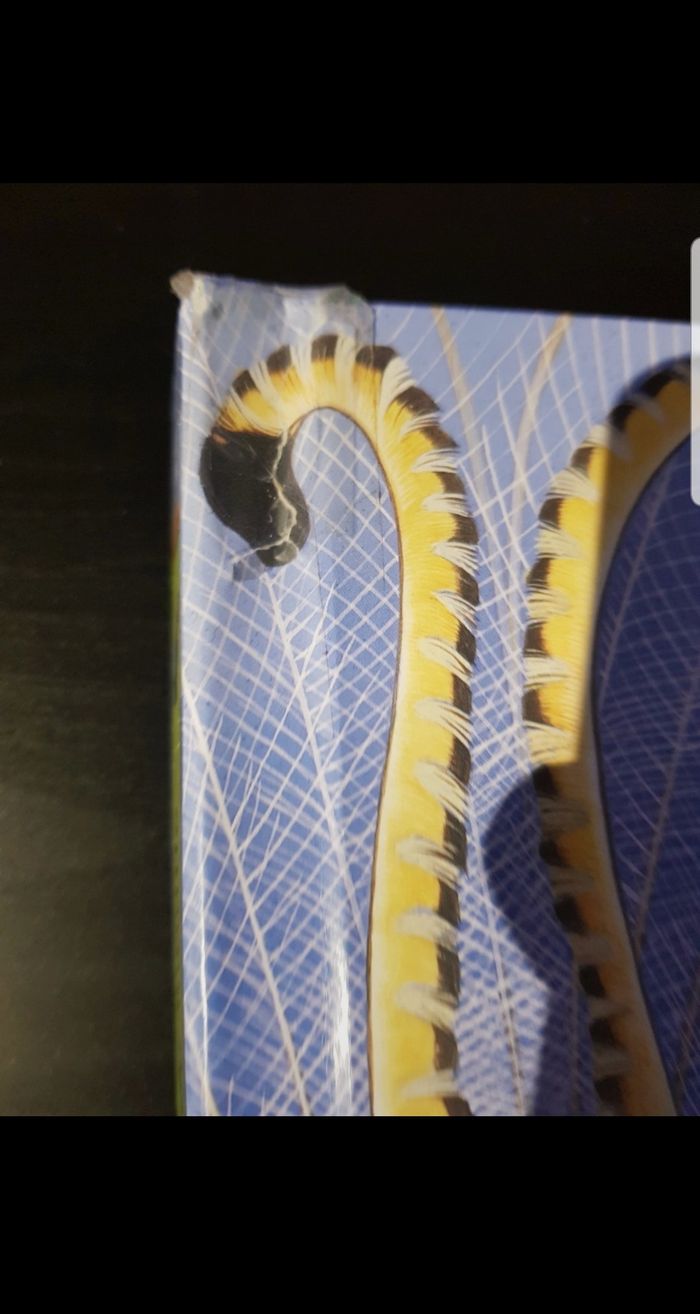 Oiseaux du monde - photo numéro 2