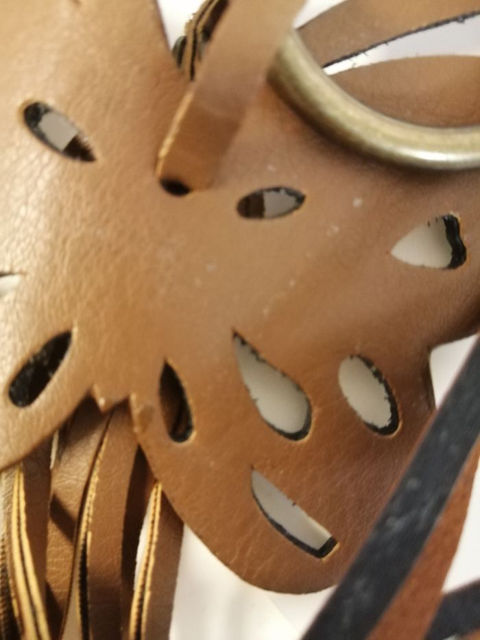 Papillon marron - photo numéro 5