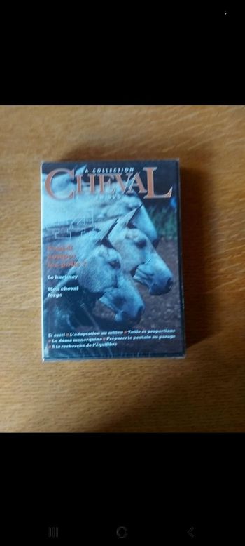 DVD