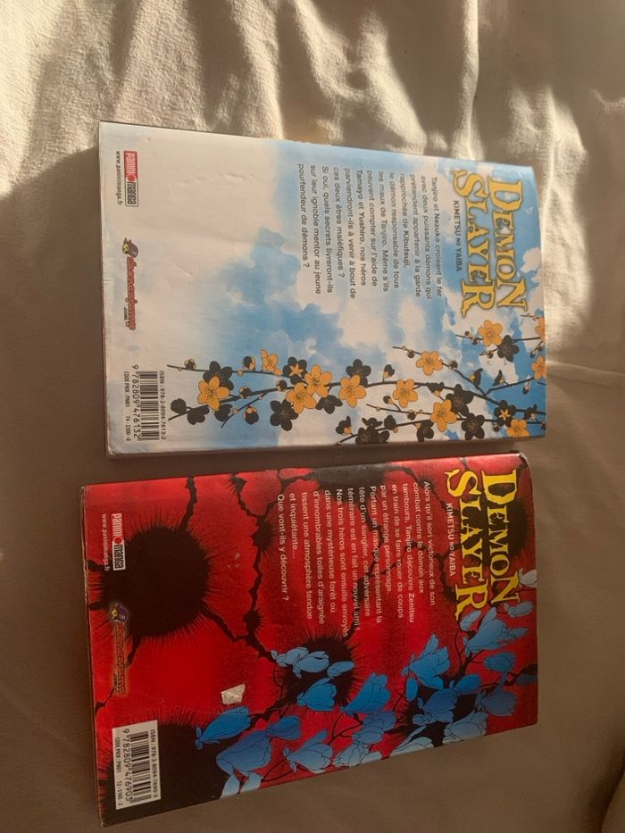 Manga - photo numéro 2