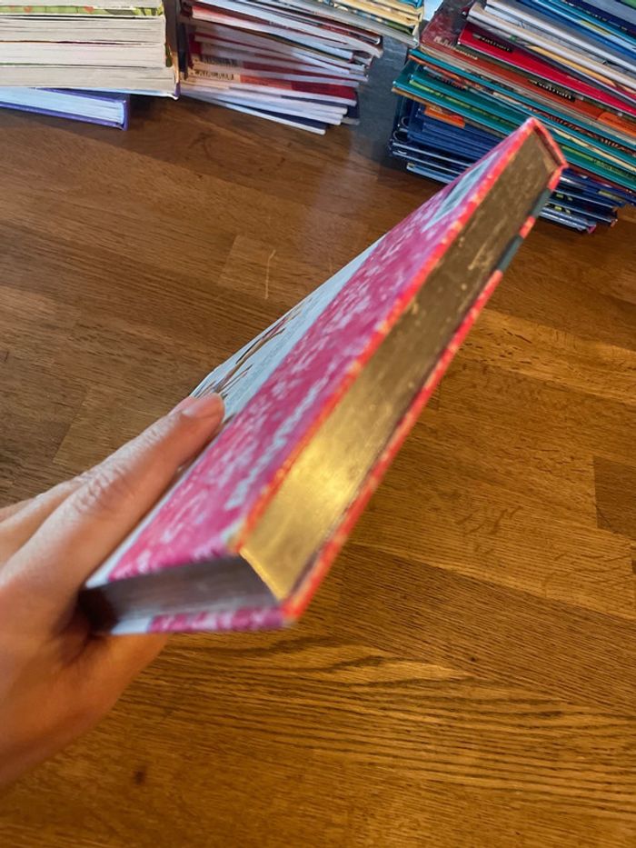 Livre Minimiki Mini Miki découvre le monde Histoires du soir pour jolies princesses - photo numéro 7