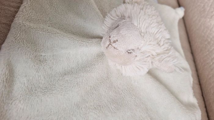 Doudou plat carré Mouton Pediatril - photo numéro 4