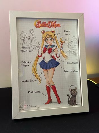 Cadre illustré – Sailor Moon