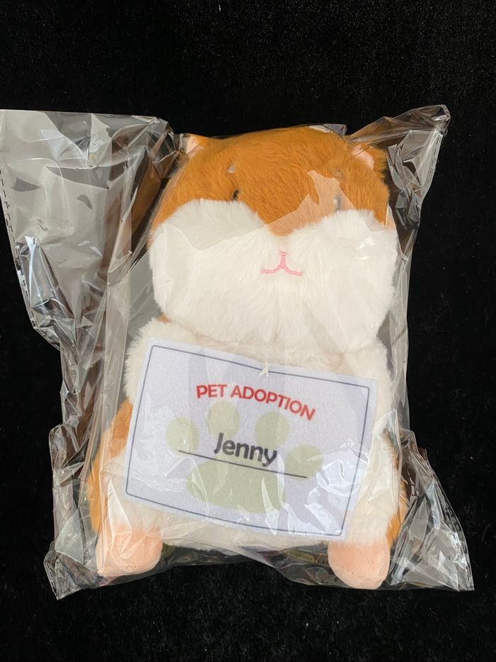 ❤️Peluche hamster Primark