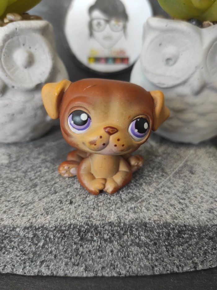 My Littlest Petshop Pet Shop LPS dog chien carlin 133 #geektradelpschien - photo numéro 7