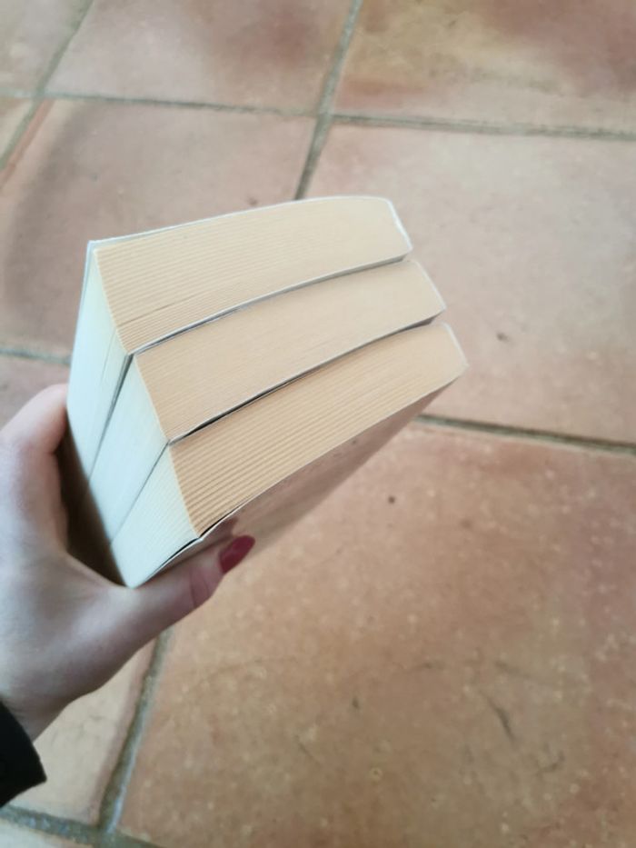 Lot de 3 tomes Famille Logan, livres de Virginia C. Andrews - photo numéro 10