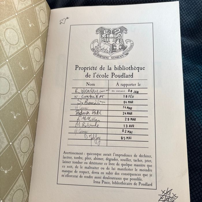 Livre le quidditch à travers les âges - photo numéro 3