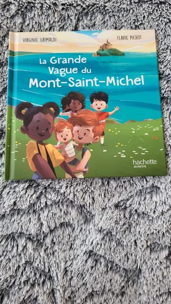 A l'unité ou en lot : Livre La grande vague du Mont Saint Michel -MC Do