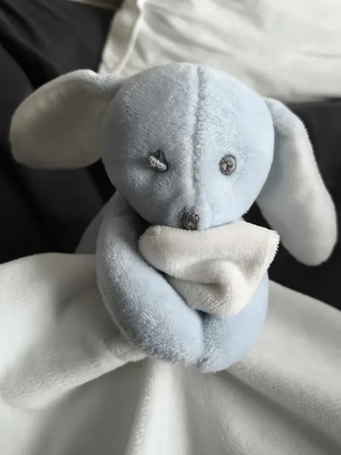 Doudou lapin jacadi - photo numéro 3