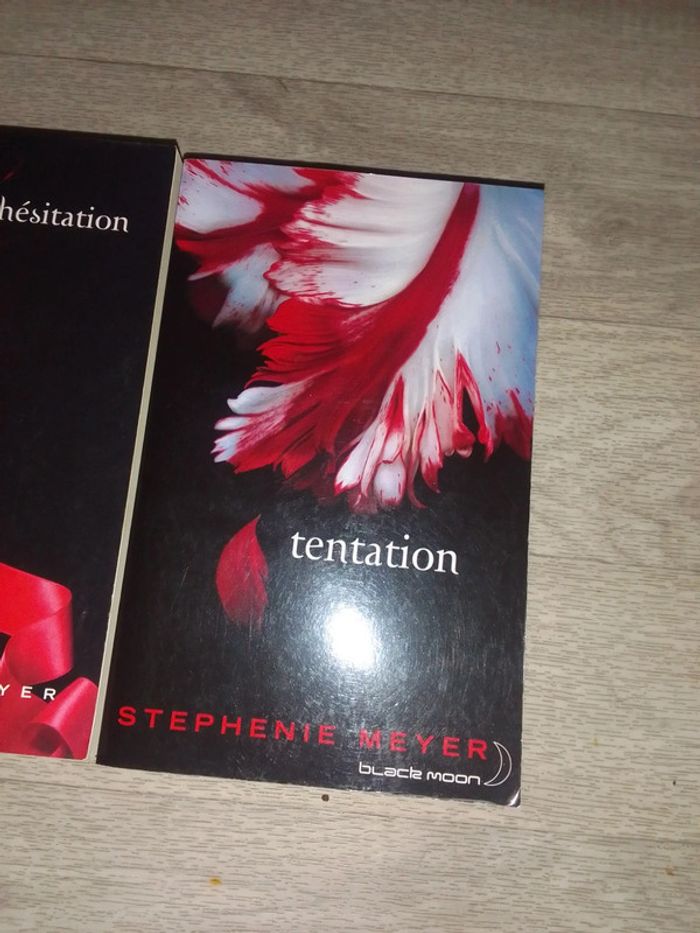 Lot ou unité 3€ hésitation, tentation - photo numéro 3