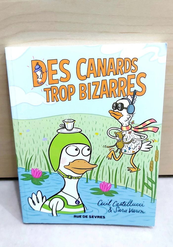 🌺 Livre (école des loisirs) : Des canards trop bizarres