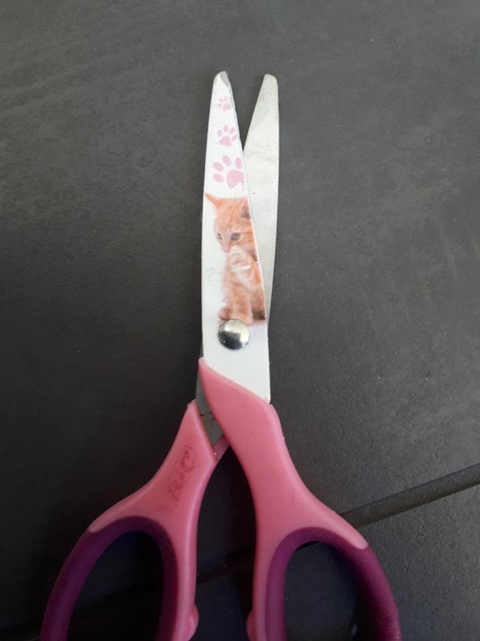 Ciseaux bouts ronds chat Bic 50 cts - photo numéro 2