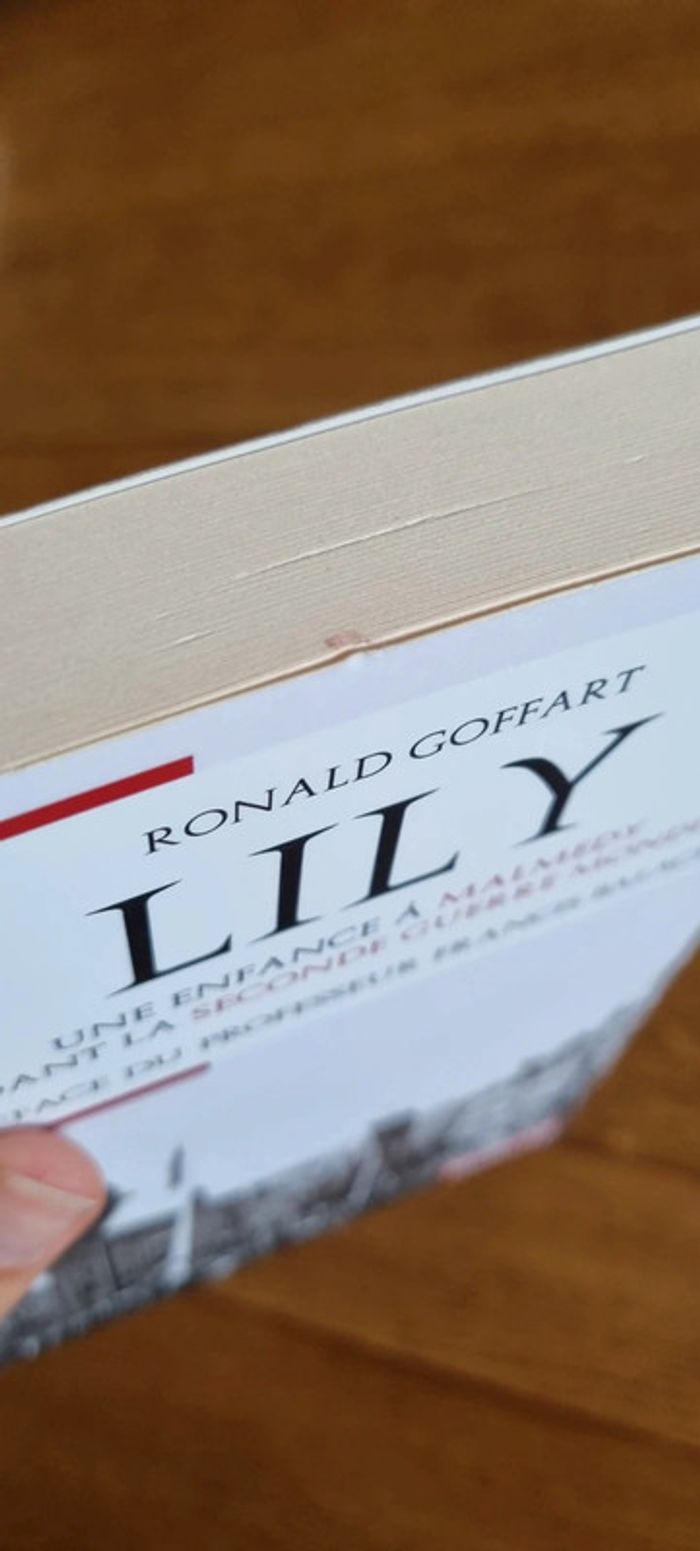 Lily, une enfance à Malmédy pendant la seconde guerre mondiale - photo numéro 7