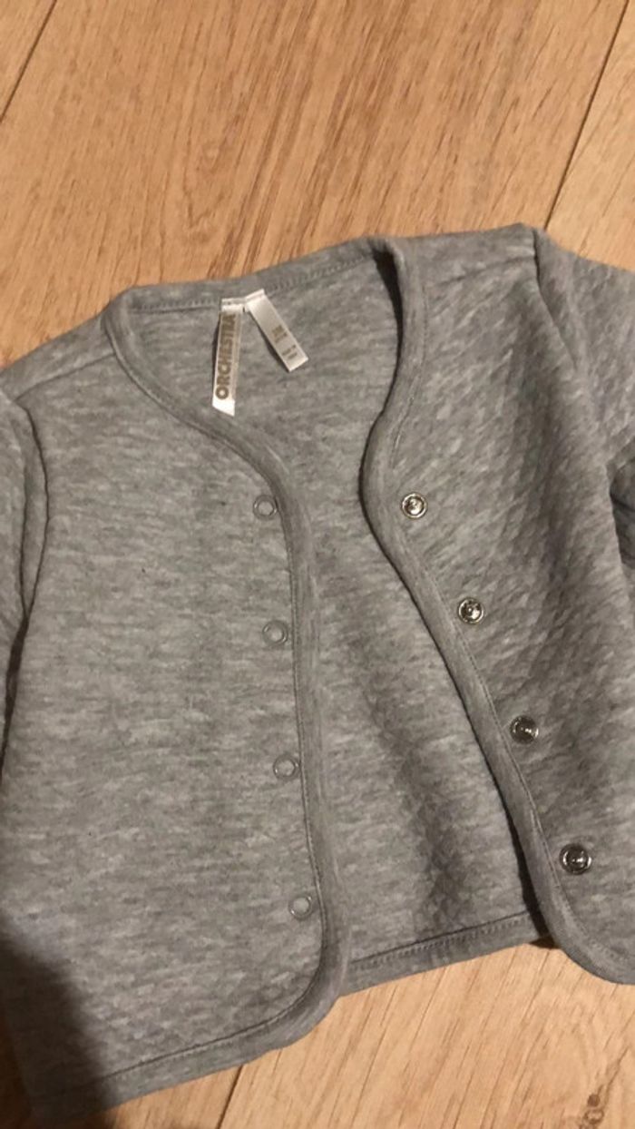 Gilet - photo numéro 2