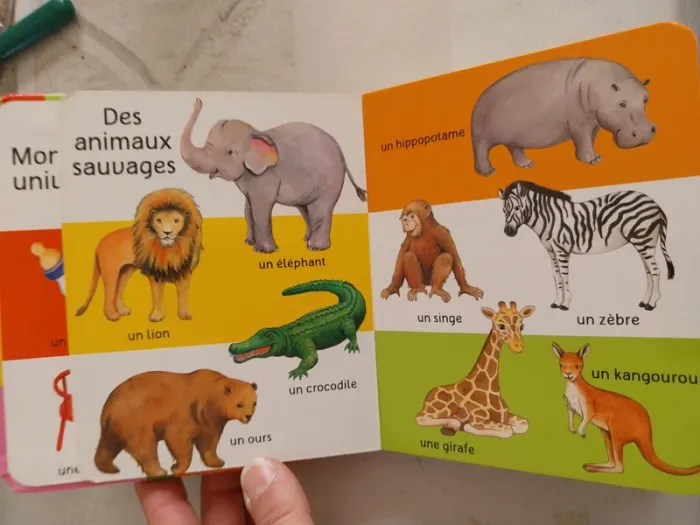 Livre Mon imagier - photo numéro 7