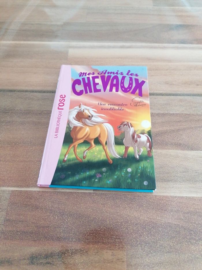 Livres les amis les chevaux une rencontre inoubliable