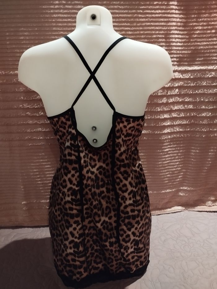 Nuisette Léopard - photo numéro 2