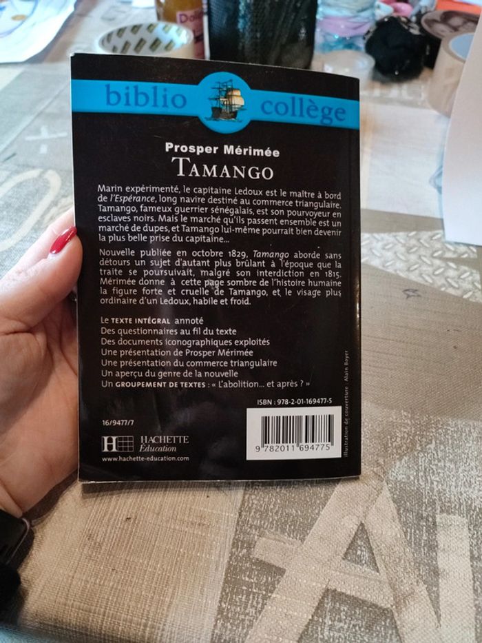 Tamango Prosper Mérimée bibliocollège - photo numéro 2