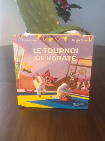 Le tournoi de karaté - Virginie Grimaldi 