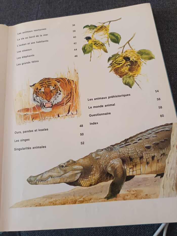 Mon 1er livre des animaux - photo numéro 4