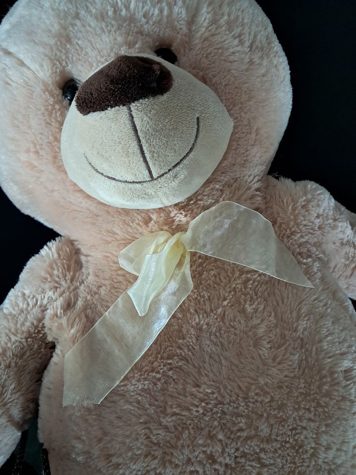 Peluche ours - photo numéro 4