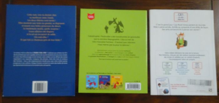 Lot de 3 livres d’apprentissage enfant pour le CE1 - photo numéro 2
