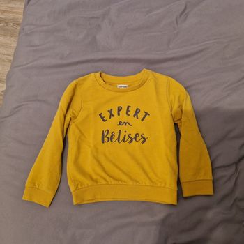 Pull Pat et Ripaton