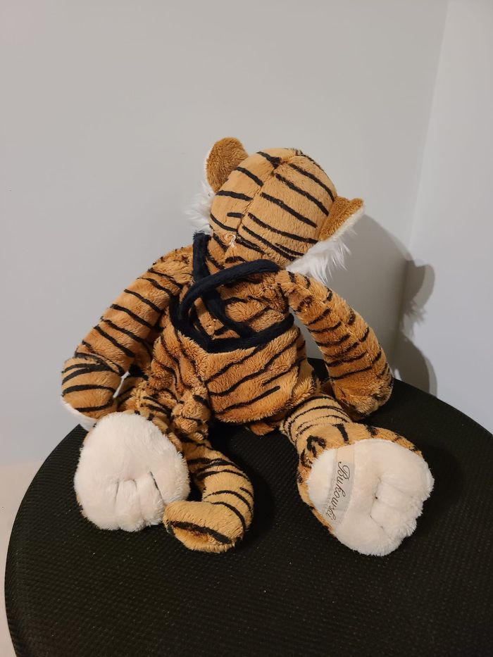 tigre - photo numéro 6