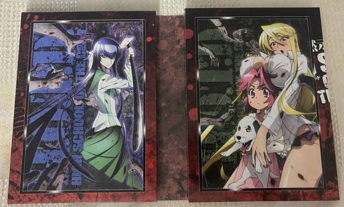 DVD High School of the Dead, l'intégral - photo numéro 3