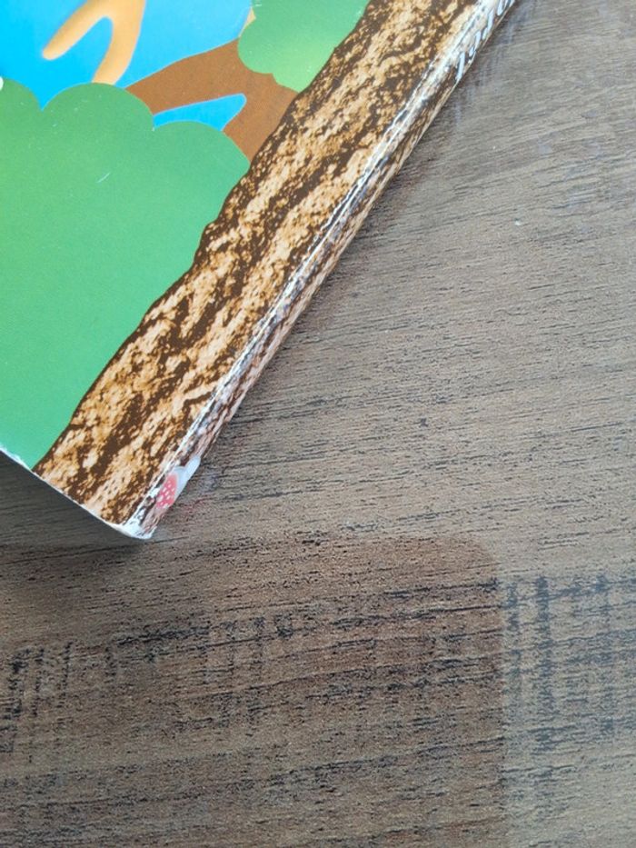 Livre - photo numéro 7