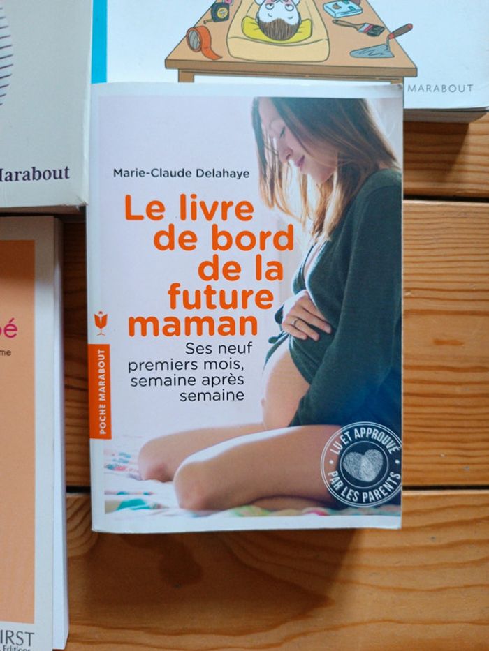 Lot livres grossesse en tbe - photo numéro 4