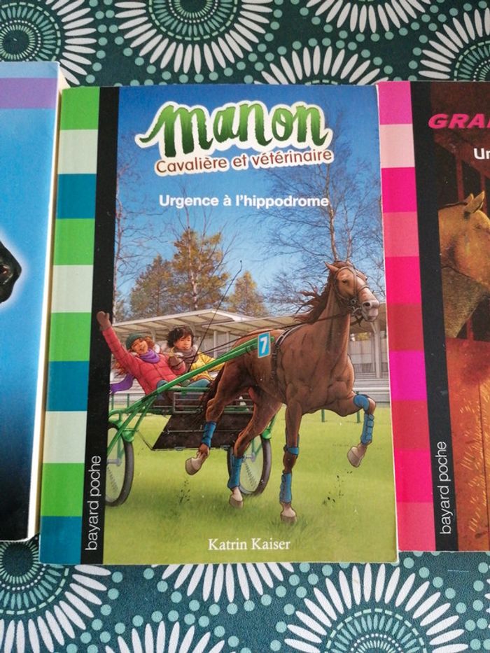 Grand Galop Manon l'Étalon Noir - photo numéro 3